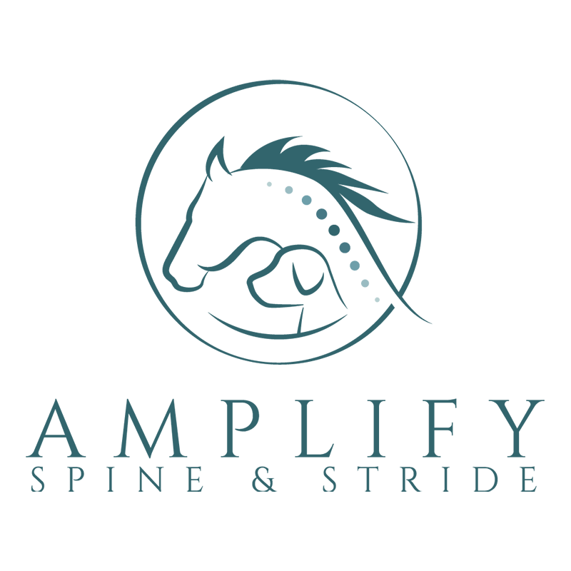 Amplify Spine and Stride Logo
